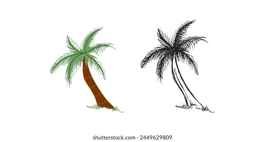 Cute hand drawn palm tree. Flat and outline black vector illustration isolated on white background. Doodle drawing.