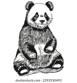 Cute handgezeichnete Panda, Vektorgrafik, schwarz-weißer Pandas
