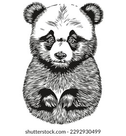 Cute hand drawn Panda, vector illustration black and white Pandas
