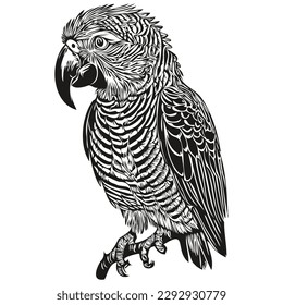 Cute hand drawn parrot, vector illustration black and white parrots
