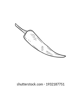 Cute hand drawn pepper. The ingredient for various meals in cooking. Vector 