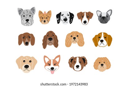 Cute hand drawn print with dog in flat style. Cartoon dog portrait