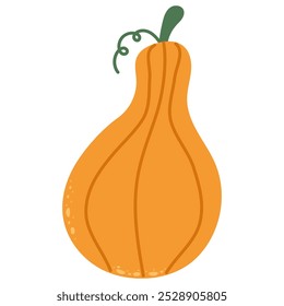 Linda calabaza dibujada a mano. Vegetal de otoño útil. Clipart divertido simple de la historieta aislado en blanco