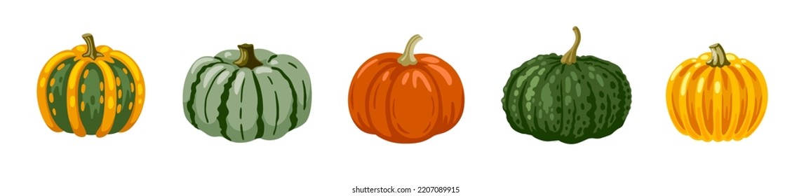 Cute hand drawn pumpkin of various colors. Striped gourd collection. Set of vector cartoon illustration.