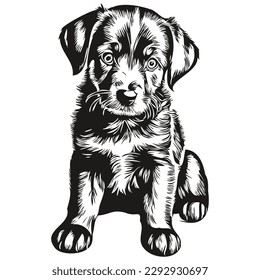 Cachorros dibujados a mano, ilustraciones vectoriales, cachorros negros y blancos
