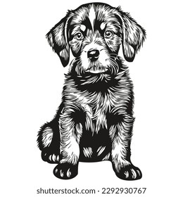 Cute hand drawn puppy, vector illustration black and white puppies
