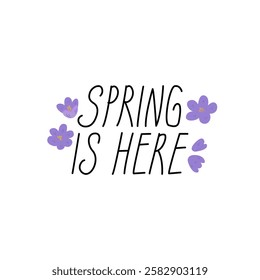 Cute hand drawn quote spring here and purple flowers around. Vector flat illustration of lettering on isolated background