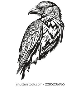 Cute hand drawn Raven, vector illustration black and white corbie
