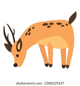 Cute hand drawn roe deer. White background, isolate.