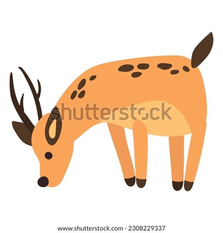 Cute hand drawn roe deer. White background, isolate.