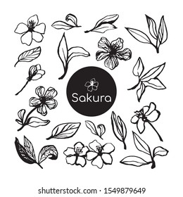 Cute hand drawn sakura blooming set. Traditional japanese or chinese spring flowers in ink style. Doodle cherry plant.