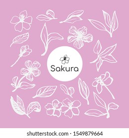 Cute hand drawn sakura blooming set. Traditional japanese or chinese spring flowers in ink style. Doodle cherry plant.