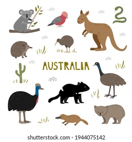 Trato a mano con animales australianos. Demonio de Tasmania, canguro, koala y platypus. Kiwi, echidna y cassowary.