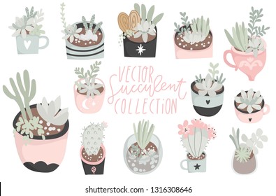Cute hand drawn set of different cactus, succulents. Pretty and soft pastel colors. Vector illustration
