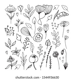 Cute hand drawn set of graphic floral and herbal elements. Doodle vector illustration for wedding design, logo and greeting card. 
