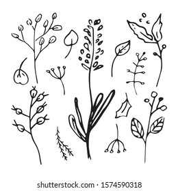 Cute hand drawn set of graphic leaves and herbal elements. Doodle vector illustration for wedding design, logo, posters and greeting cards.
