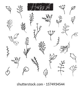Black Hand Drawn Herbs Plants Flowers Stock Vector (Royalty Free ...