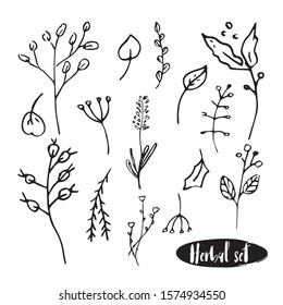 Cute hand drawn set of graphic leaves and herbal elements. Doodle vector illustration for wedding design, logo, posters and greeting cards.