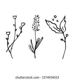 Cute hand drawn set of graphic leaves and herbal elements. Doodle vector illustration for wedding design, logo, posters and greeting cards.