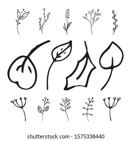 Cute hand drawn set of graphic leaves and herbal elements. Doodle vector illustration for wedding design, logo, posters and greeting cards.