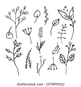 Cute hand drawn set of graphic leaves and herbal elements. Doodle vector illustration for wedding design, logo, posters and greeting cards.