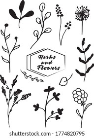 Cute hand drawn set of graphic floral and herbal elements. Doodle vector illustration for wedding design, logo and greeting card.