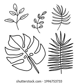 Conjunto de elementos gráficos florales y herbales dibujados a mano. Ilustración vectorial Doodle para libro de colorear, libro de texto, diseño de interiores, logotipo, agitadores y tarjeta de saludo.