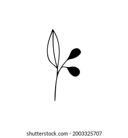 Cute hand drawn set of graphic floral and herbal elements. Doodle vector illustration isolated on white background for wedding design, logo and greeting card.