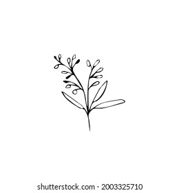 Cute hand drawn set of graphic floral and herbal elements. Doodle vector illustration isolated on white background for wedding design, logo and greeting card.