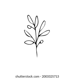 Cute hand drawn set of graphic floral and herbal elements. Doodle vector illustration isolated on white background for wedding design, logo and greeting card.