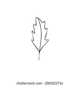 Conjunto de elementos gráficos florales y herbales dibujados a mano. Ilustración vectorial Doodle aislada en fondo blanco para diseño de bodas, logotipo y tarjeta de saludo.