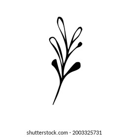 Rund handgezeichnete Set von grafischen Blumenelementen und Kräuterelementen. Doodle Vektorgrafik einzeln auf weißem Hintergrund für Hochzeitsdesign, Logo und Grußkarte.
