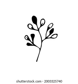 Conjunto de elementos gráficos florales y herbales dibujados a mano. Ilustración vectorial Doodle aislada en fondo blanco para diseño de bodas, logotipo y tarjeta de saludo.