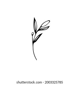 Cute hand drawn set of graphic floral and herbal elements. Doodle vector illustration isolated on white background for wedding design, logo and greeting card.