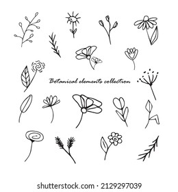 Cute hand drawn set of graphic floral and herbal elements. Doodle vector illustration for wedding design, logo and greeting card.
