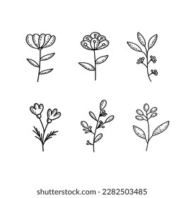 Cute hand drawn set of graphic floral and herbal elements. Doodle vector illustration for wedding design, logo and greeting card. Botanical illustration.