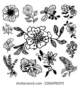 Cute hand drawn set of graphic floral and herbal elements. Doodle vector illustration for wedding design, logo and greeting card.