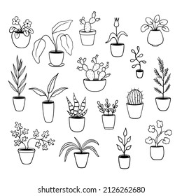 Cute hand drawn set of potted plants. Doodle illustration of indoor plants. Isolated elements on white background.