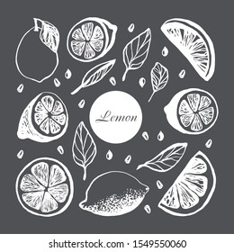 Cute hand drawn set with slices lemon with leaves and seeds for menu or recipe. Doodle vector illustration. Fresh and tasty.