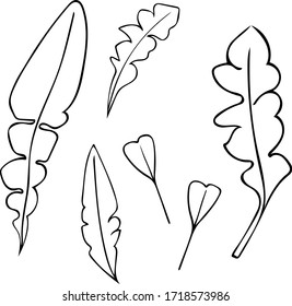 handgezeichnet, handgezeichnet, Blätter des Hirten und Siliken im Doodle-Stil einzeln auf weißem Hintergrund