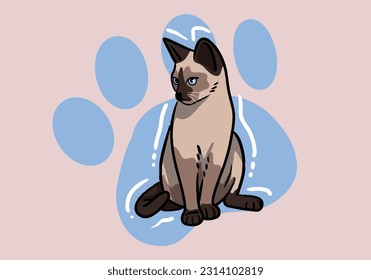 Cute hand drawn siamese cat, fluffy fur, and exaggerated features. Cute adorable big eyes kitty kitten cat