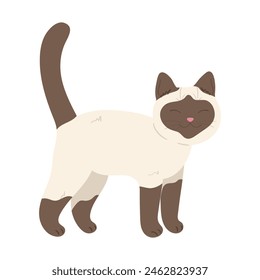 Cute hand drawn Siamese cat. Cartoon cat standing. Vector illustration