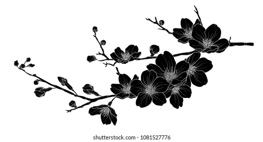 Cute hand drawn silhouette sakura branch set 1. Flower vector illustration in white outline and black plane on white background.