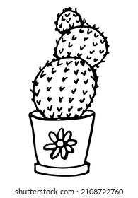 Cute hand drawn simple cactus. Houseplant in a pot. Cacti illustration isolated on white background. 