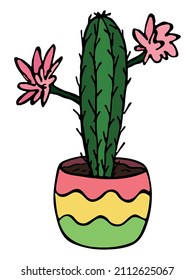 Cactus simples dibujados a mano. Hogar en una olla. Ilustración de cactus colorida aislada en fondo blanco. Cómodo garabato casero.