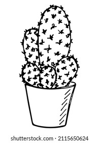 Cute hand drawn simple cactus. Houseplant in a pot. Cacti illustration isolated on white background. Cozy home doodle.