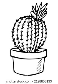 Cute hand drawn simple cactus. Houseplant in a pot clipart. Cacti illustration isolated on white background. Cozy home doodle.