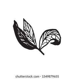 Cute hand drawn single leaf of sakura element. Traditional japanese or chinese spring flower in ink style. Doodle cherry plant.