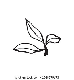 Cute hand drawn single leaf of sakura element. Traditional japanese or chinese spring flower in ink style. Doodle cherry plant.