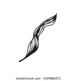 Cute hand drawn single leaf of realistic alstroemeria. Traditional spring flowers in ink style for wedding decoration and arrangements.